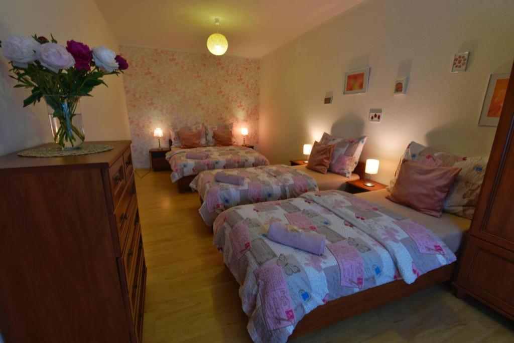 Apartmány Braníčkov Kültér fotó
